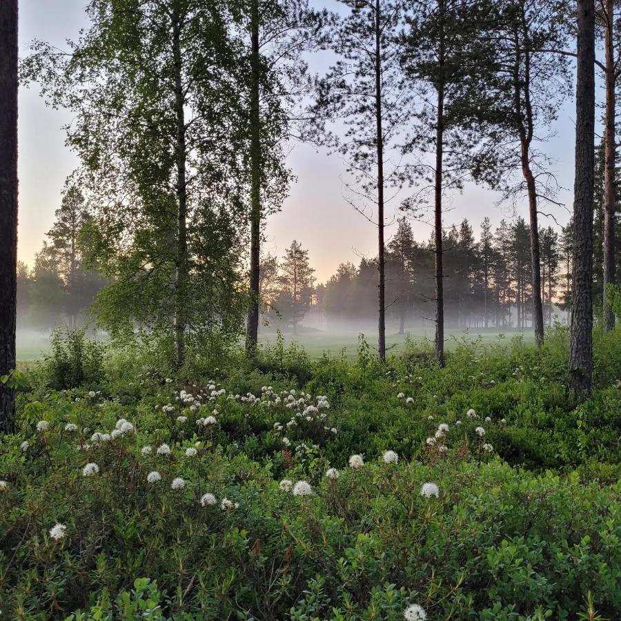 Siikavilla, Siikajoki 외부 사진