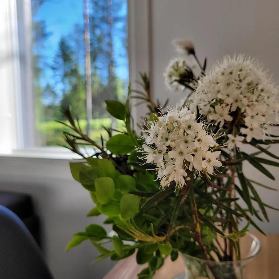 Siikavilla, Siikajoki 외부 사진